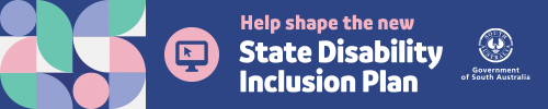 State Disability Inclusion Plan horizontal